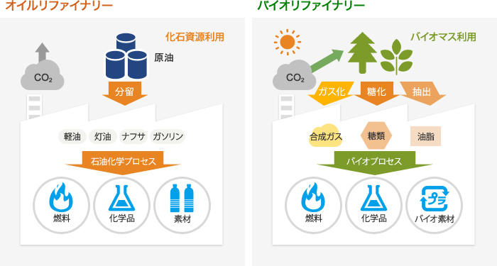 バイオリファイナリー概念図