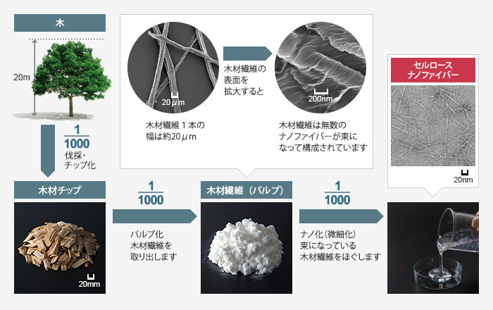 セルロースナノファイバーの製造技術と用途開発 富士革新素材研究所 日本製紙グループ