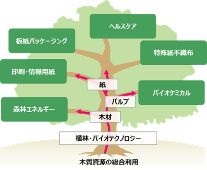 木質資源の総合利用　General utilization of wood resources