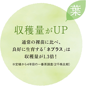 収穫量がUP