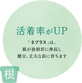 活着率がUP